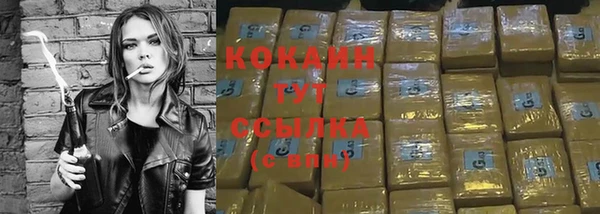 твердый Елабуга