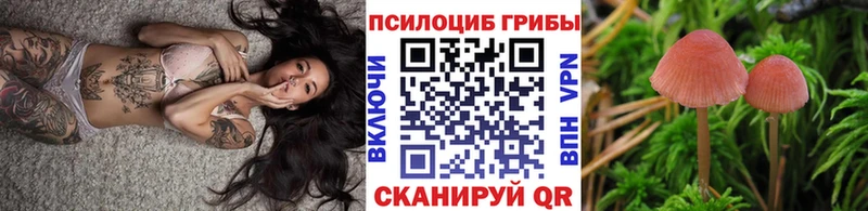 Галлюциногенные грибы мицелий  Заволжье 